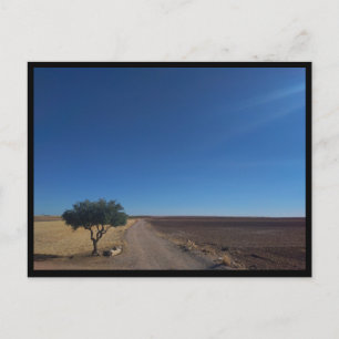 Postal Chinchon (España)