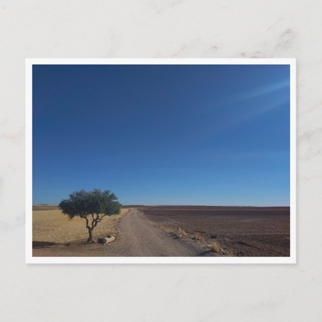 Postal Chinchon (España) (Anverso)