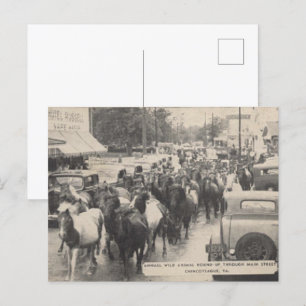 Postal Chincoteague Pony Vintage 1941