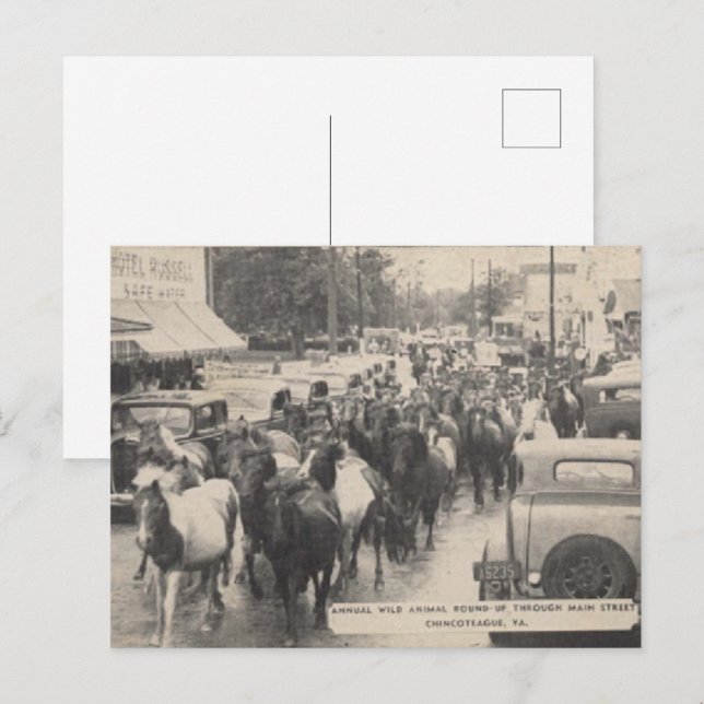 Postal Chincoteague Pony Vintage 1941 (Anverso / Reverso)