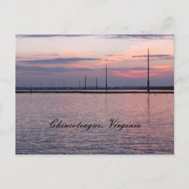 Postal Chincoteague, Virginia (Anverso)