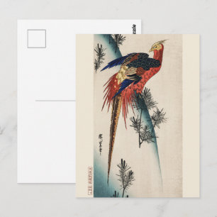 Postal Chinoiserie Faisán Pájaro Colorido y Arte de Pino