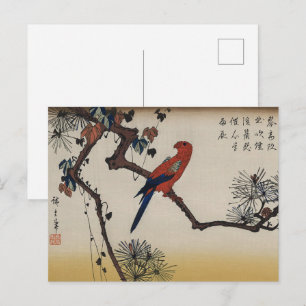 Postal Chinoiserie Loro Rojo & Zen Pino Grabado en reliev