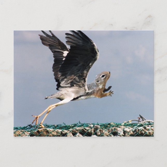 Postal Chipheron (Anverso)