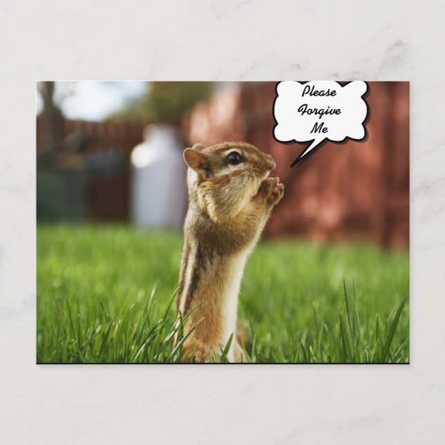 Postal Chipmun Rezando Por Favor Perdóname (Anverso)