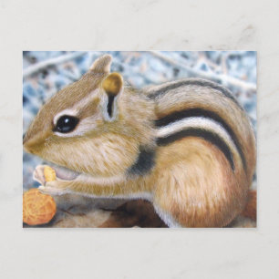 Postal Chipmunk