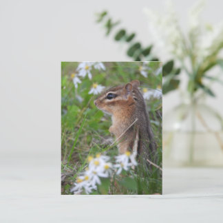 Postal Chipmunk Adorable en flores