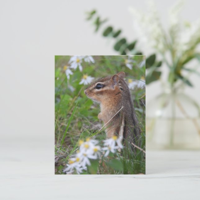 Postal Chipmunk Adorable en flores (Anverso de pie)