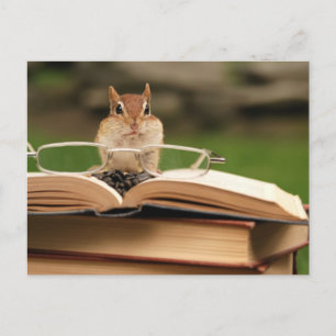 Postal Chipmunk amante del libro