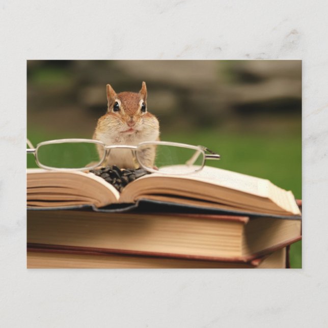 Postal Chipmunk amante del libro (Anverso)