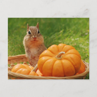 Postal Chipmunk de la cosecha de otoño