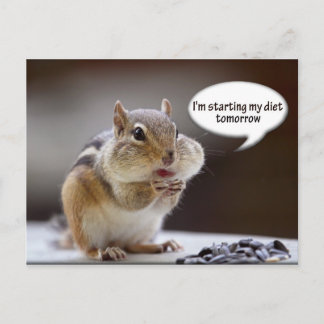 Postal Chipmunk en una foto de la dieta