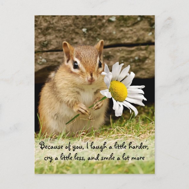 Postal Chipmunk infantil adorable con cita de amistad (Anverso)