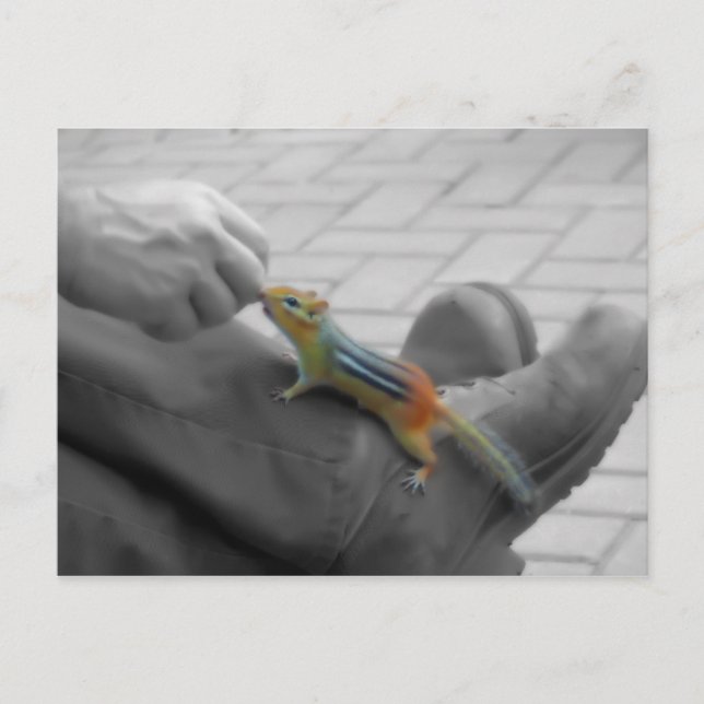 Postal Chipmunk Lunch (Anverso)