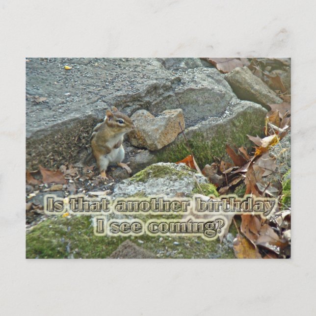 Postal Chipmunk sobre artículos de rock Cumpleaños (Anverso)