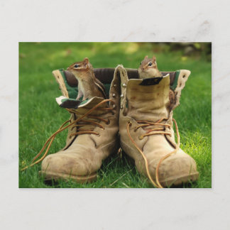 Postal Chipmunks en boots