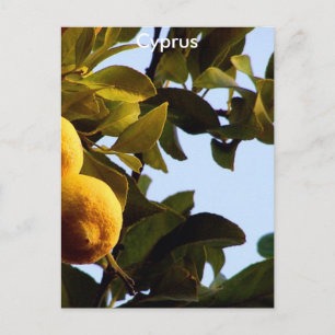 Postal Chipre Lemon Grove