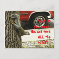 Chiste de ardilla animal divertida