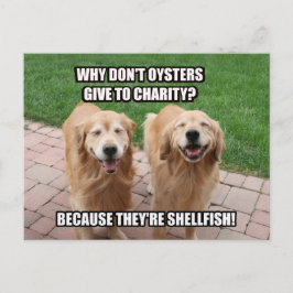 Postal Chiste divertidísimo Golden Retriever Shellfish