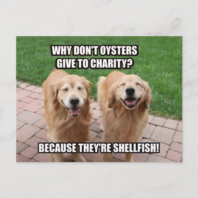 Postal Chiste divertidísimo Golden Retriever Shellfish (Anverso)