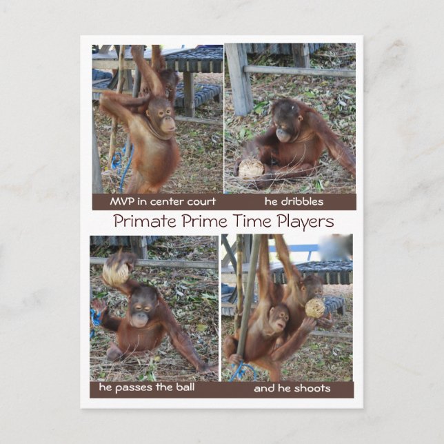 Postal Chistes de baloncesto MVP Hoop (Anverso)