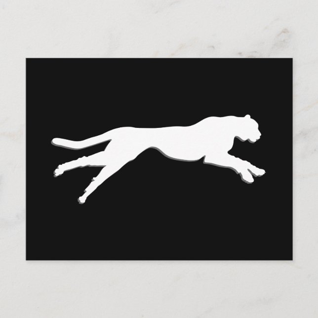 Postal Chita de arte gráfico blanco (Anverso)