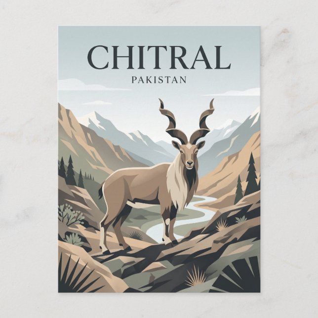 Postal Chitral Pakistán (Anverso)
