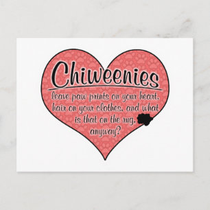 Postal Chiweenie Paw Imprime Humor De Perro