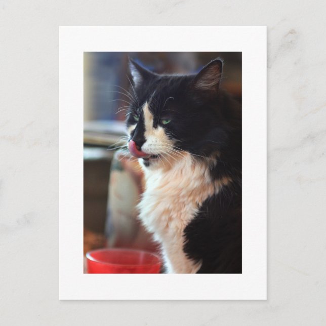 Postal Chloe Licks (Anverso)