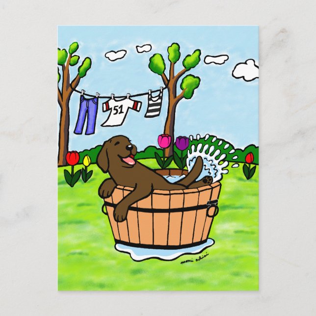 Postal Chocolate Labrador Puppy Pool (Anverso)