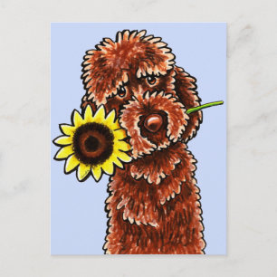 Postal Chocolate Sunny Labradoodle Off-Leash Art™