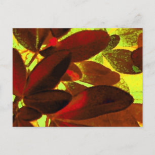 Postal Choisya Otoño 2