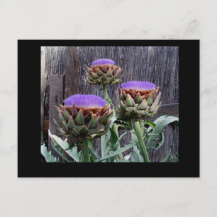 Postal Choques de arte en flor