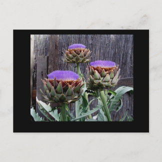 Postal Choques de arte en flor