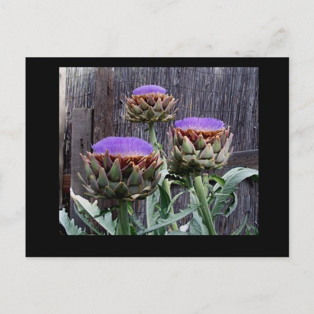 Postal Choques de arte en flor (Anverso)