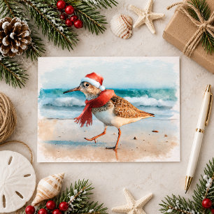 Postal Chorlito de Navidad en la Playa