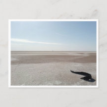 Chott el Djerid (Túnez)