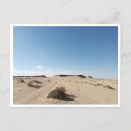 Postal Chott el Gharsa (Túnez)