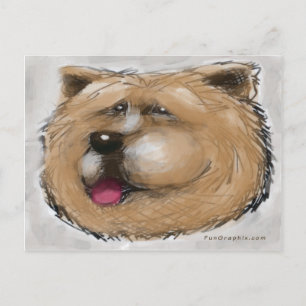 Postal Chow Chow