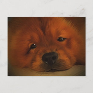 Postal Chow Chow