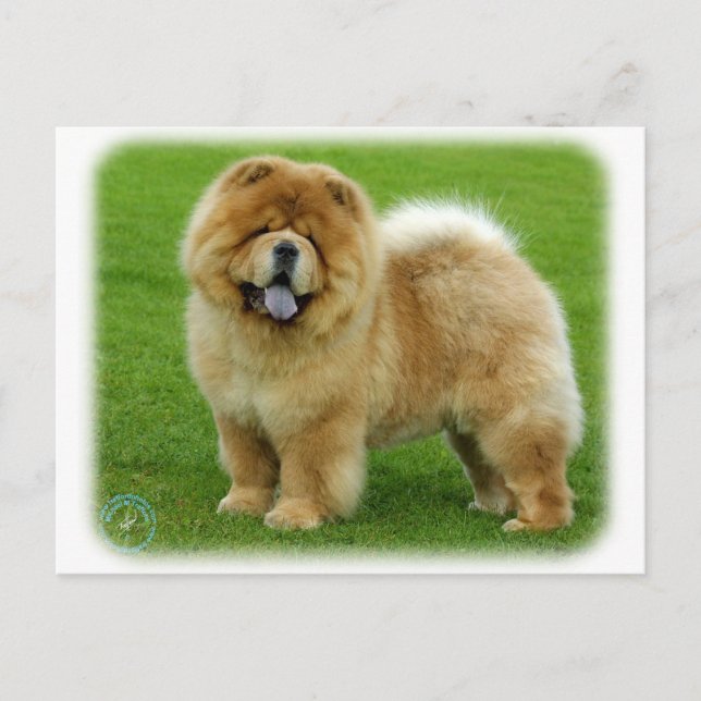 Postal Chow Chow 9B008D-06 (Anverso)