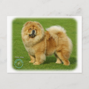 Postal Chow Chow 9B008D-17