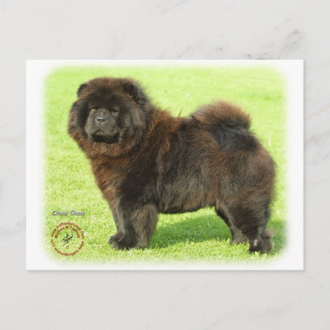 Postal Chow Chow 9B011D-08 (Anverso)