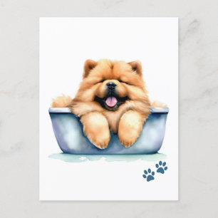 Postal Chow Chow Dog