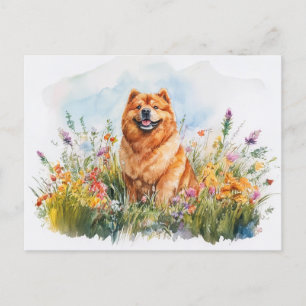 Postal Chow Chow - Postcard