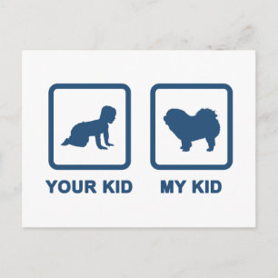 Postal Chow Chow Rough Coat