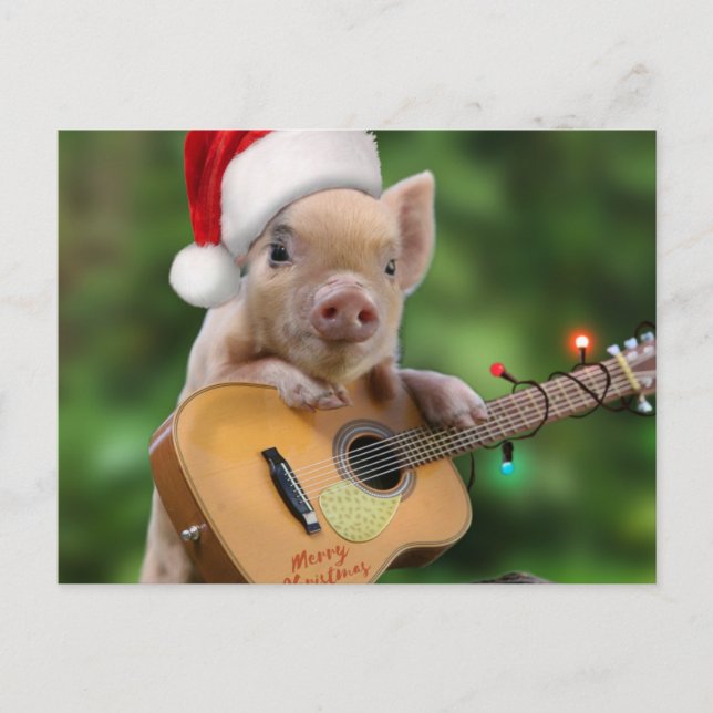 Postal Christmas guitar pig (Anverso)