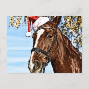 Postal Christmas horse with hat