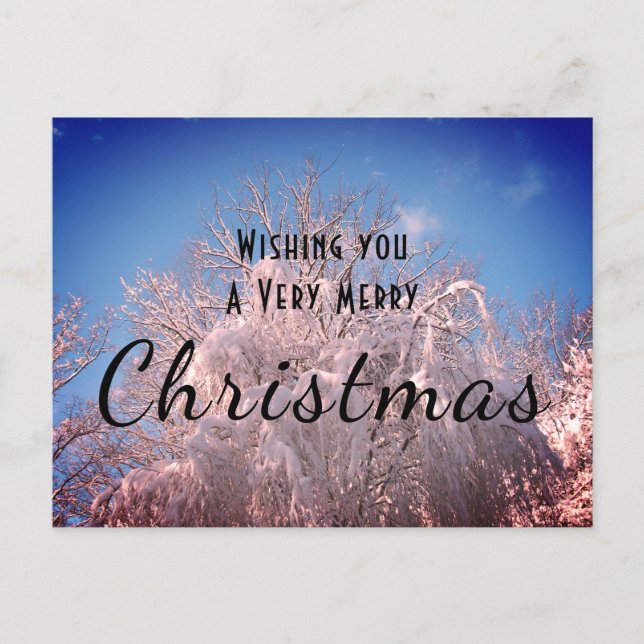 Postal Christmas Snow Trees ! (Anverso)