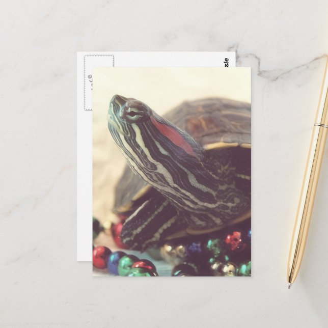 Postal Christmas Turtle (Anverso/Reverso In Situ)